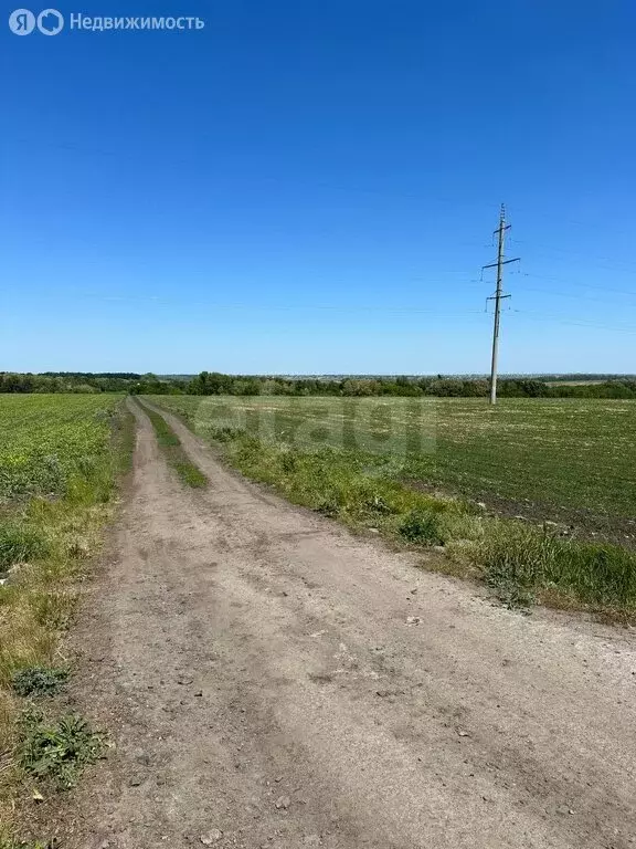Участок в село Стрелецкое, СНТ Северное-АПК (179.49 м) - Фото 1