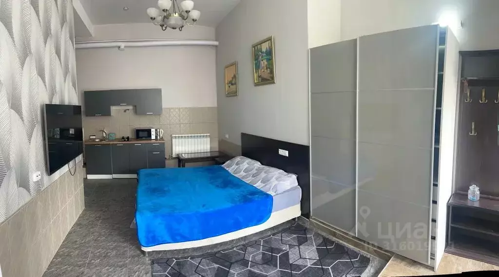 Студия Краснодарский край, Сочи Бриз СНТ, 54 (30.0 м) - Фото 1