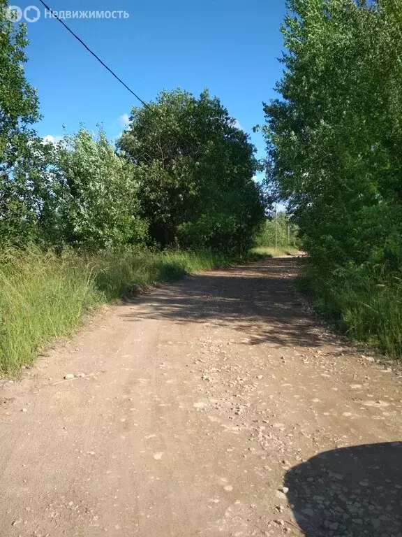 Участок в Новгородская область, Шимское городское поселение, деревня ... - Фото 1