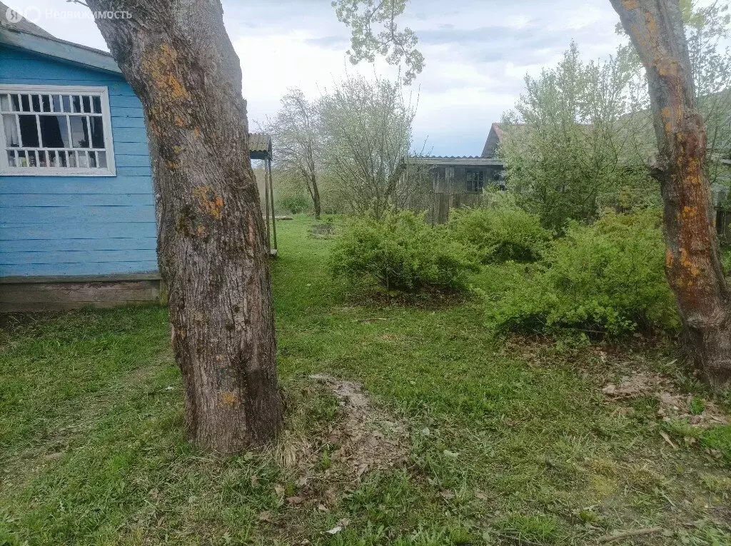 Дом в Вологодский муниципальный округ, деревня Бугрино, 2 (50 м) - Фото 0