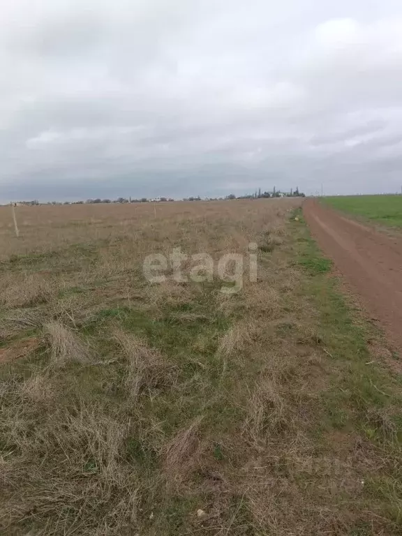 Участок в Крым, Сакский район, с. Уютное  (8.0 сот.) - Фото 0