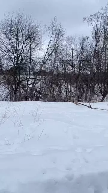 Участок 15 сот. (ИЖС) - Фото 1