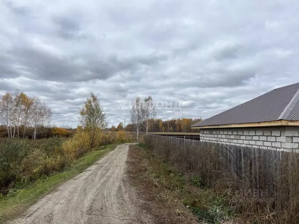 Дом в Новосибирская область, Новосибирский район, Толмачевский ... - Фото 1