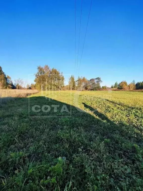 Участок в Воронежская область, Павловский район, Покровское с/пос, ... - Фото 1