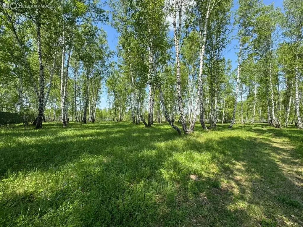 Участок в посёлок Есаульский, Лесная улица (13 м) - Фото 1
