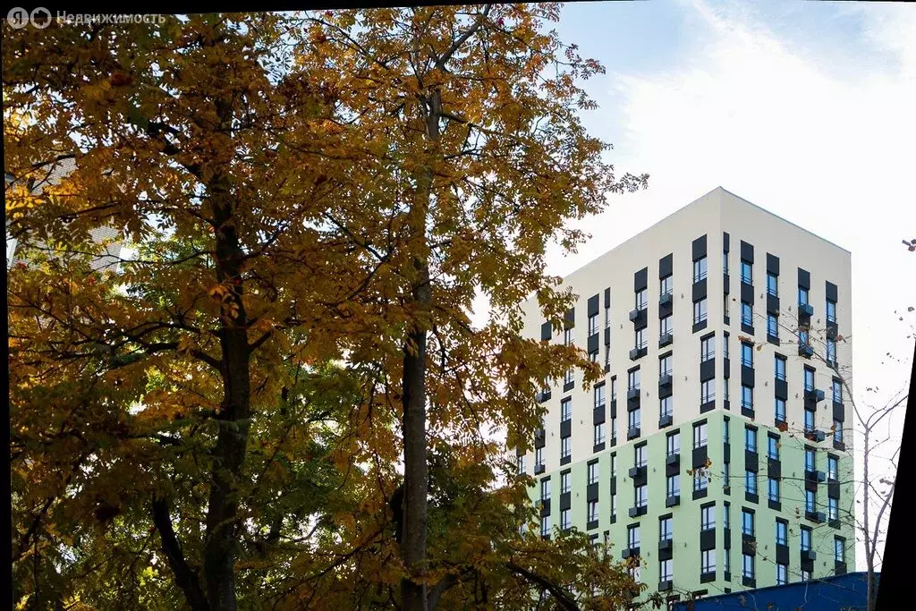 3-комнатная квартира: Курск, улица Чехова, 5 (82.08 м) - Фото 2