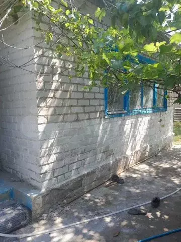 Дача 35 м на участке 7 сот. - Фото 0