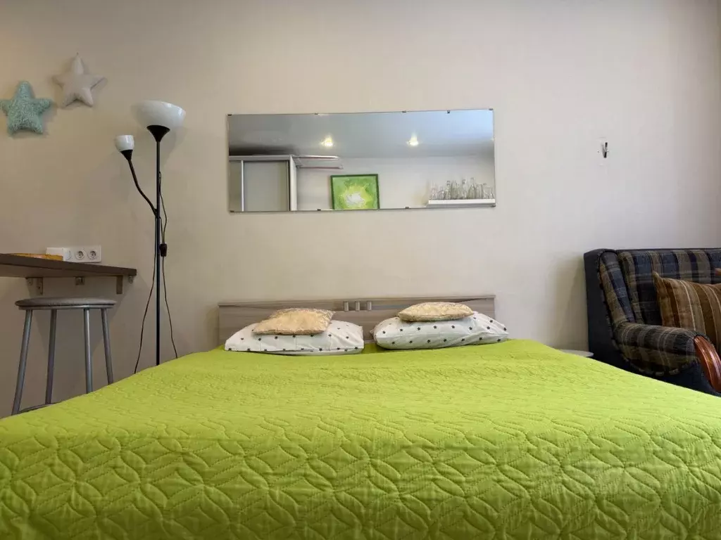 Студия Санкт-Петербург ул. Хошимина, 16А (28.0 м) - Фото 1