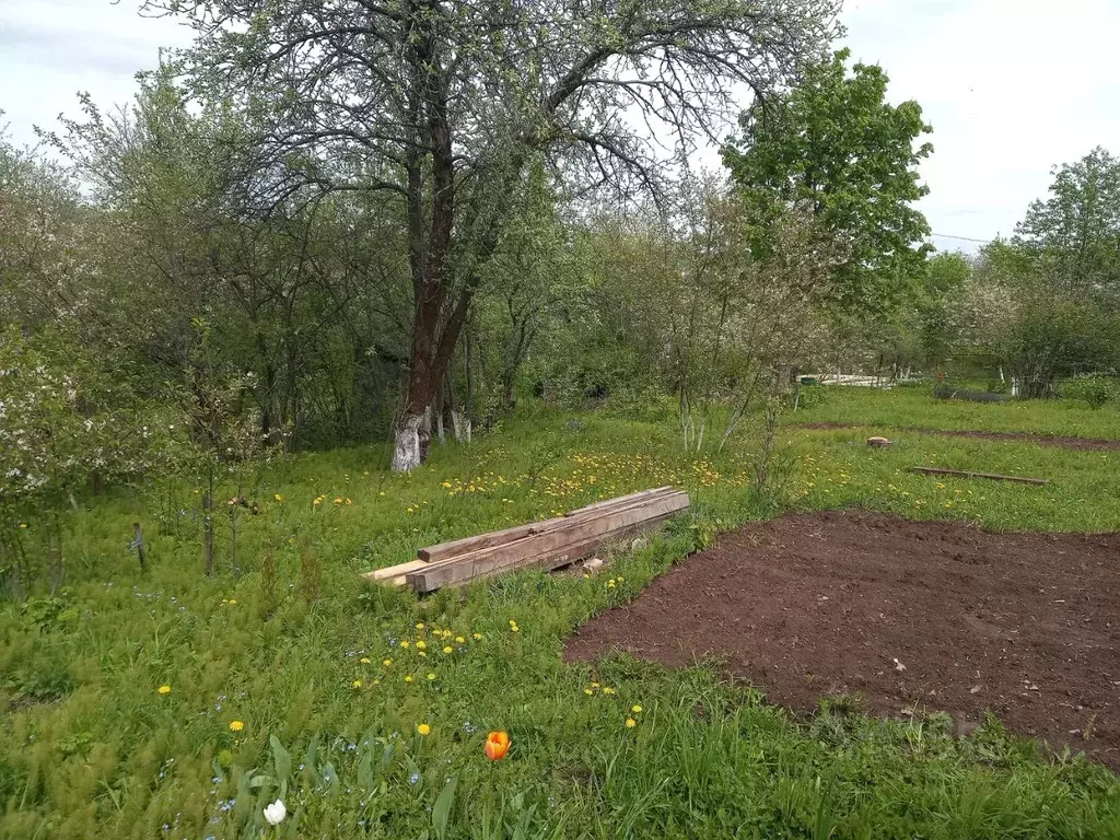 Участок в Нижегородская область, Нижний Новгород СНТ Расцвет - ... - Фото 1