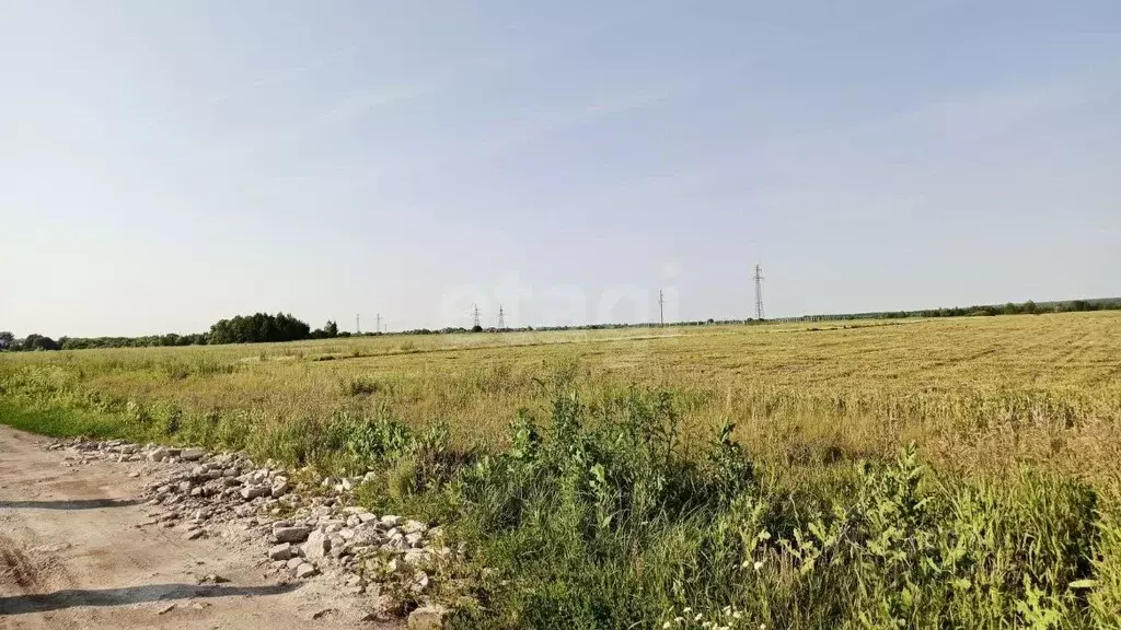 Участок в Тамбовская область, Уваровский муниципальный округ, пос. ... - Фото 1