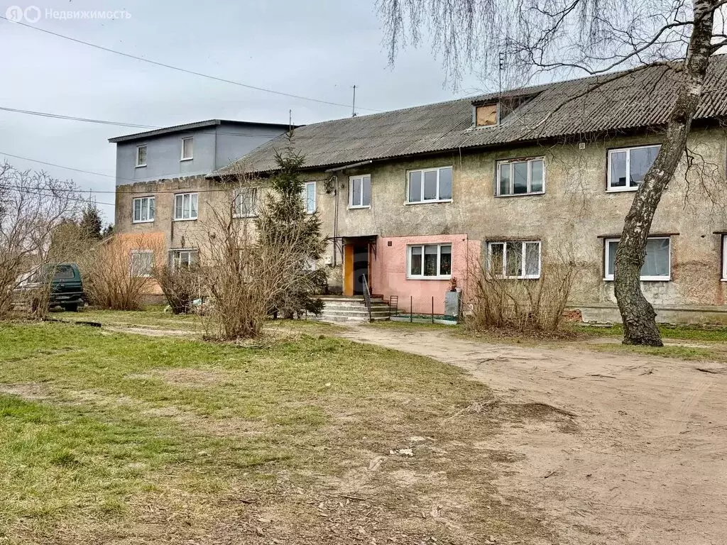 Квартира-студия: Светловский городской округ, посёлок Волочаевское, ... - Фото 1