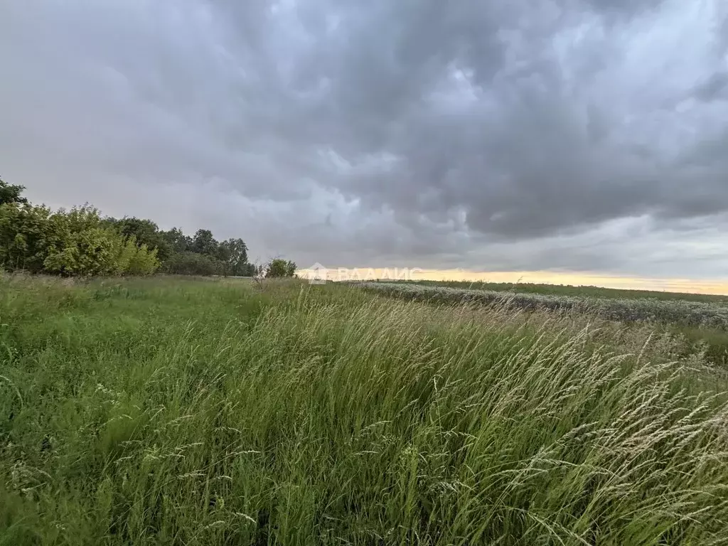 Участок в Московская область, Зарайск Зарайск муниципальный округ, ... - Фото 2