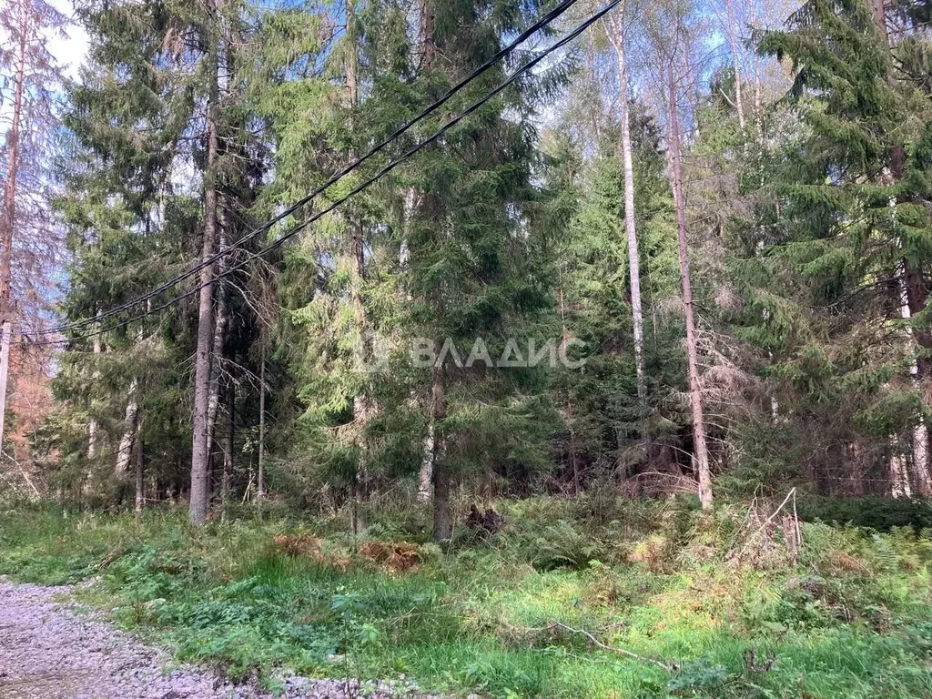 Участок в Ленинградская область, Ломоносовский район, Лопухинское ... - Фото 2