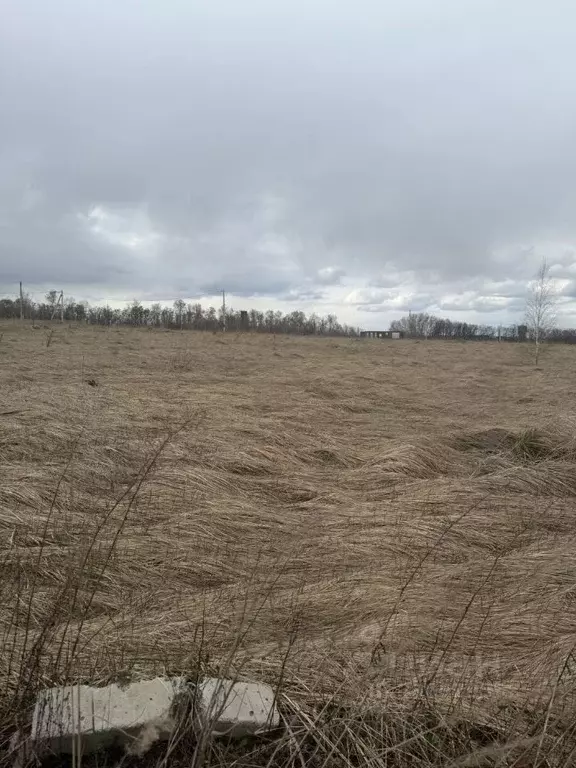 Участок в Курская область, Курск ул. Андрея Хмелевского, 12 (10.0 ... - Фото 2