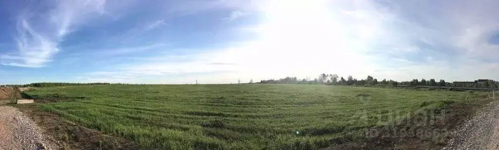 Участок в Красноярский край, Емельяновский район, Шуваевский ... - Фото 0