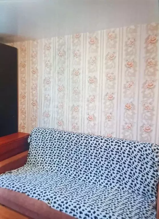 Студия Томская область, Томск ул. Ивана Черных, 67 (20.0 м) - Фото 2