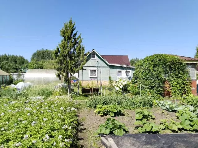 Дача 40 м на участке 7,4 сот. - Фото 0