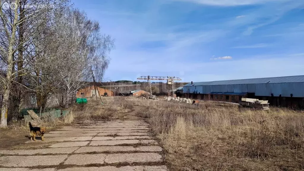 Участок в село Дубъязы, улица Хади Такташа (500 м) - Фото 1