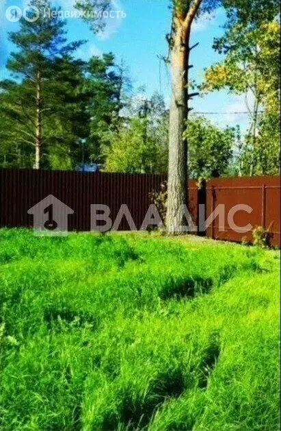 Участок в Сертолово, СНТ Ягодка, 749 (6.1 м) - Фото 0