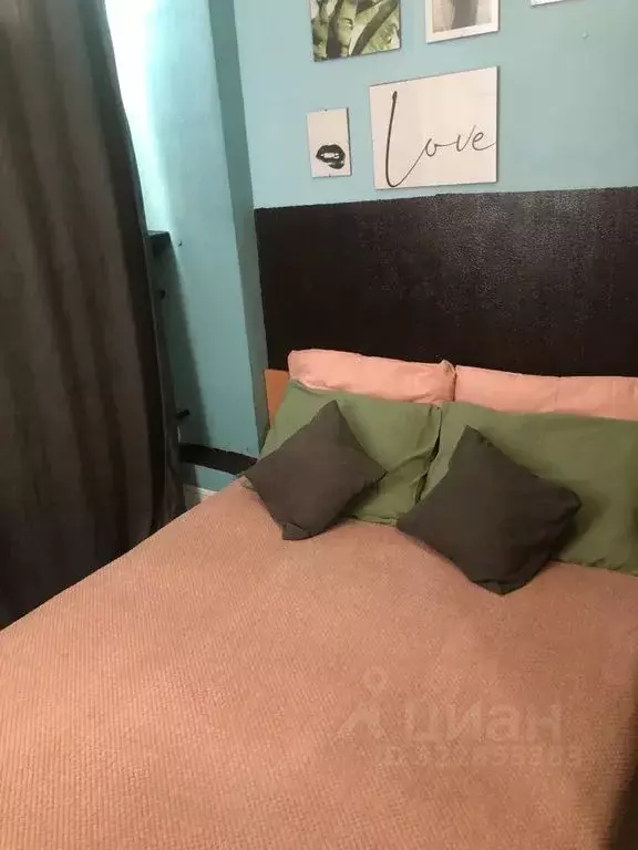 Студия Московская область, Электроугли Богородский городской округ, ... - Фото 2