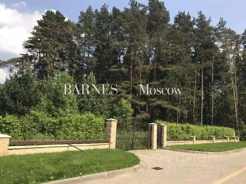 Участок в Московская область, Истра муниципальный округ, д. Чесноково, ... - Фото 2