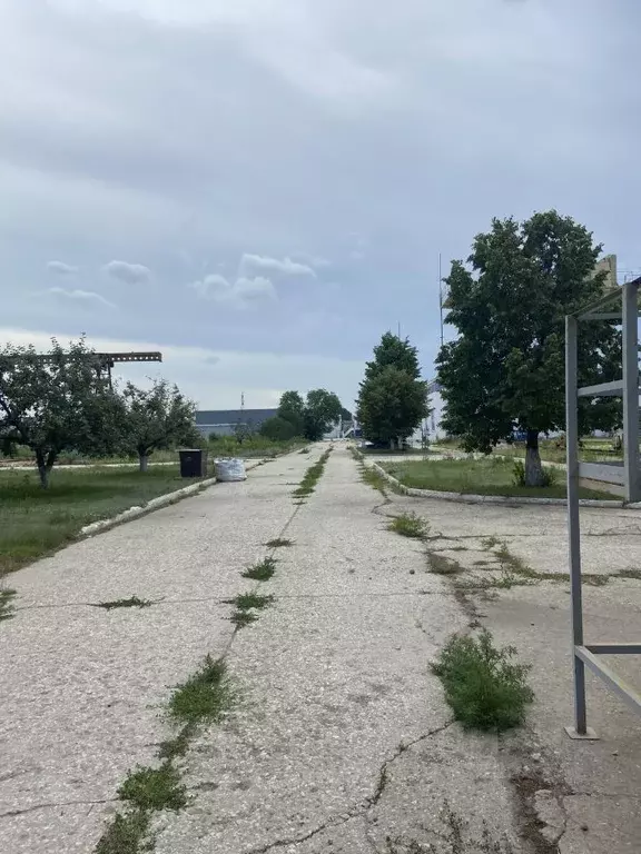 Производственное помещение в Самарская область, Тольятти Северная ул., ... - Фото 1