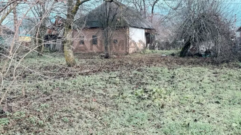 Участок в Адыгея, Майкопский район, Даховское с/пос, с. Хамышки ул. ... - Фото 2