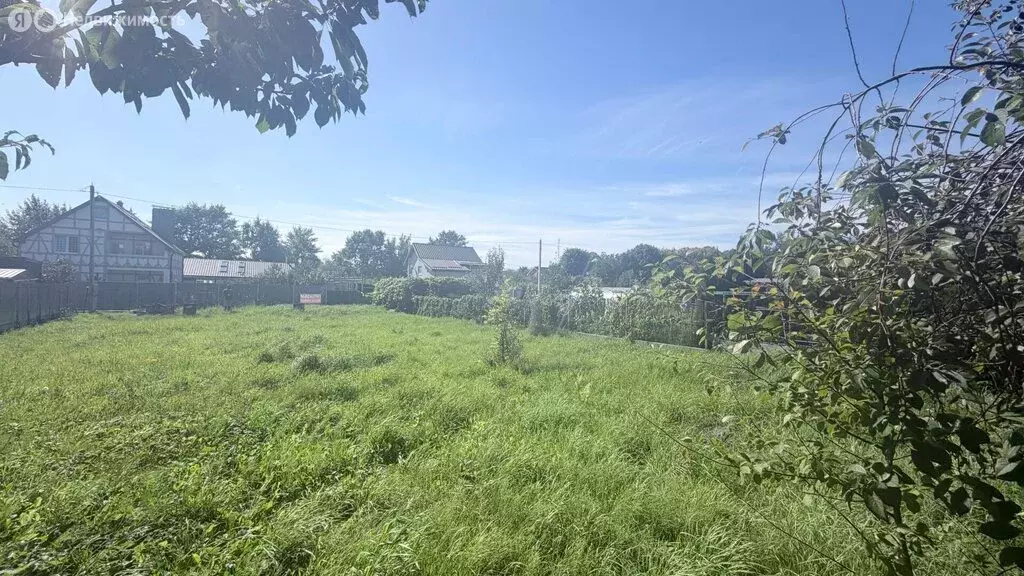 Участок в посёлок городского типа Янтарный, СНТ Садовник, улица ... - Фото 2