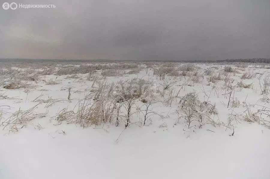 Участок в село Бессоновка, Виноградная улица (10.8 м) - Фото 0