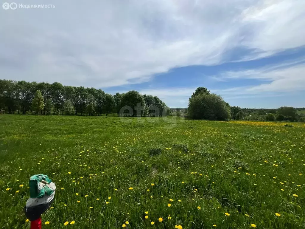 Участок в Тульская область, городской округ Тула, деревня Демидовка ... - Фото 2