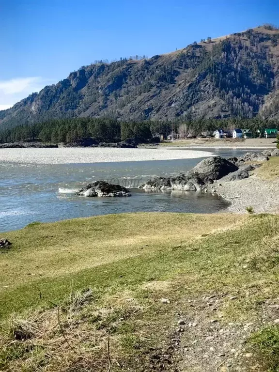 Дом в Алтай, Майминский район, с. Манжерок  (23 м) - Фото 0