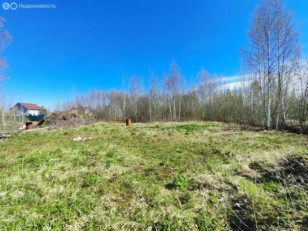 Участок в Кировский район, Синявинское городское поселение, ... - Фото 1