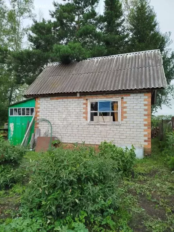 Участок в Ишимский район, СНТ Солнечное (5 м) - Фото 1