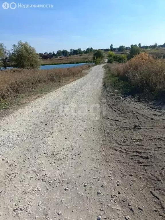 Участок в Узловский район, муниципальное образование Каменецкое, село ... - Фото 1