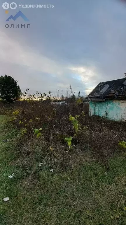 Участок в Вологда, садоводческое товарищество Энергетик (7.7 м) - Фото 0