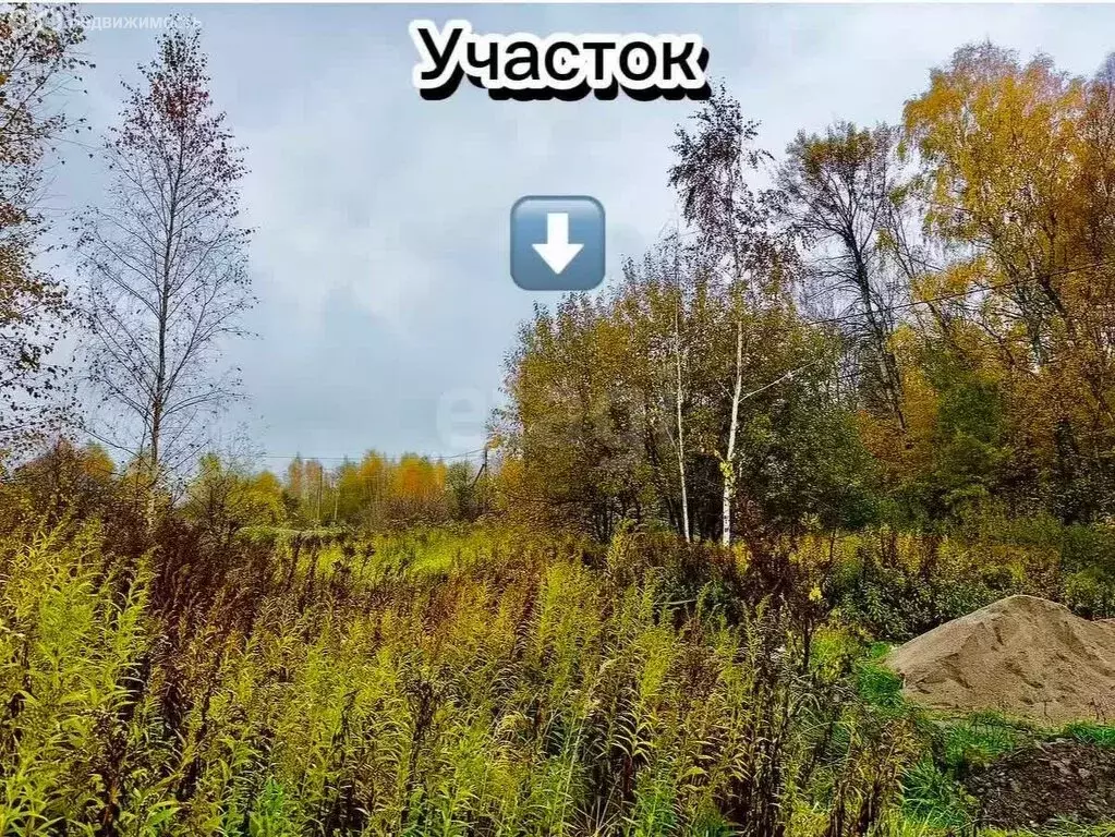 Участок в Калининградская область, Гурьевский муниципальный округ, ... - Фото 1