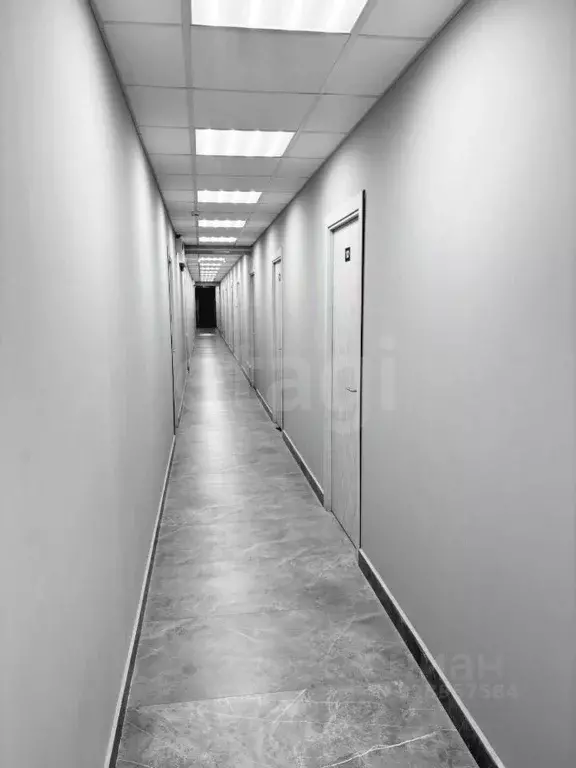 Офис в Курганская область, Курган ул. Гоголя, 66 (35 м) - Фото 1