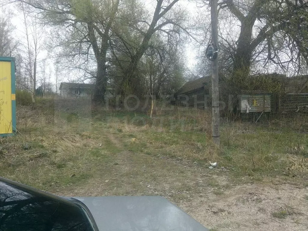 Участок в Новгородская область, Боровичский район, Опеченское с/пос, ... - Фото 1