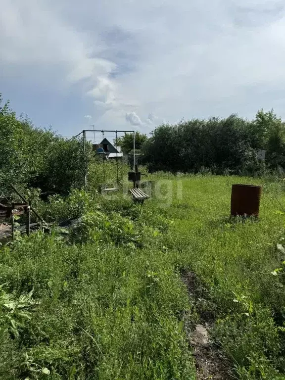 Участок в Оренбургская область, Оренбургский район, Красноуральский ... - Фото 1