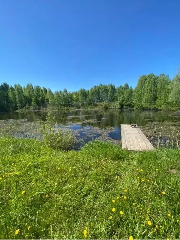 Участок 72 сот. (СНТ, ДНП) - Фото 1