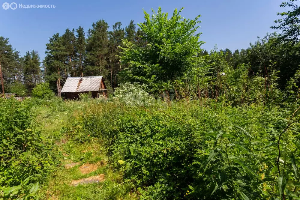 Дом в посёлок Кузедеево, Кузбасская улица (53 м) - Фото 1