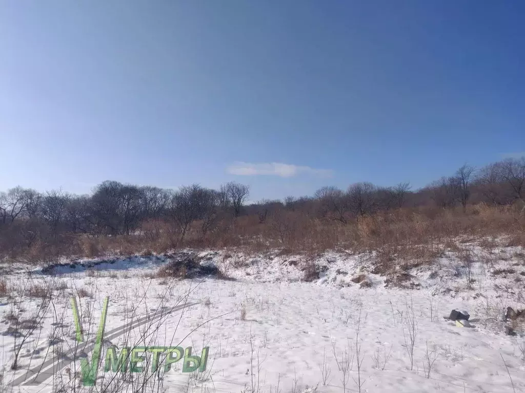 Участок в Приморский край, Надеждинский район, с. Кипарисово  (599.54 ... - Фото 2