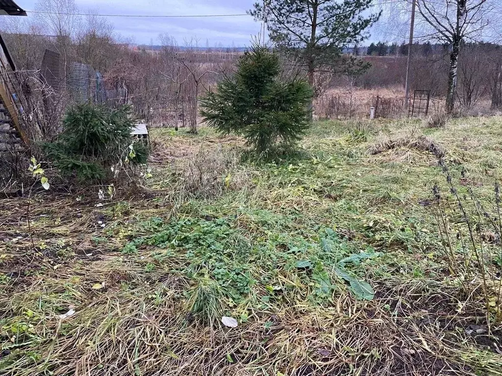 Участок в Ленинградская область, Гатчинский район, пос. Пудость  (6.0 ... - Фото 2