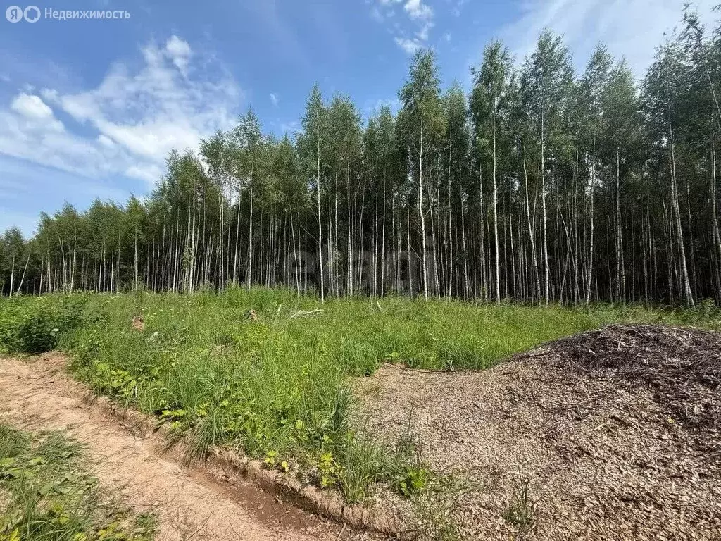 Участок в Костромская область, посёлок городского типа ... - Фото 1