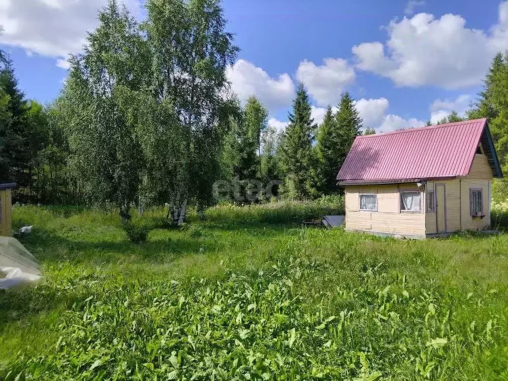Участок в Карелия, Прионежский район, Деревянское с/пос, Онежец-4 СНТ  ... - Фото 0