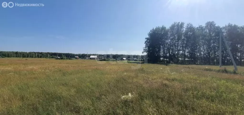 Участок в Омский район, село Усть-Заостровка (10 м) - Фото 0