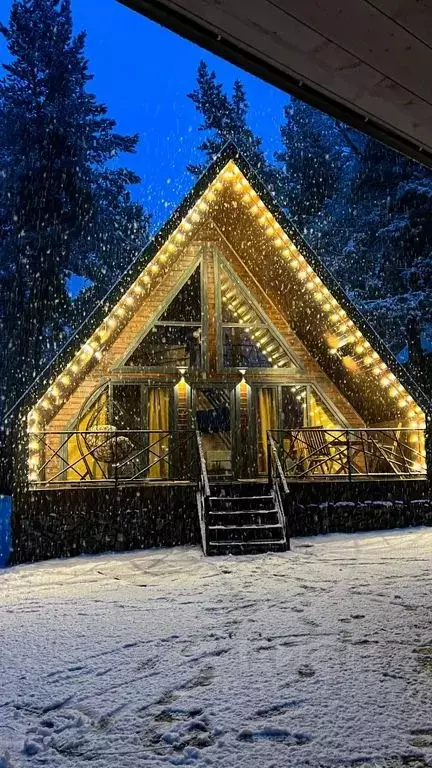 Дом в Карачаево-Черкесия, Зеленчукский район, с. Архыз ул. Лесная, 13 ... - Фото 1