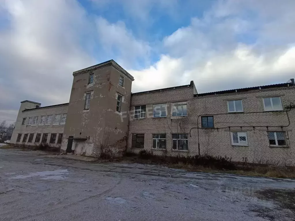 Помещение свободного назначения в Пермский край, Пермь Бойный пер., 1 ... - Фото 1