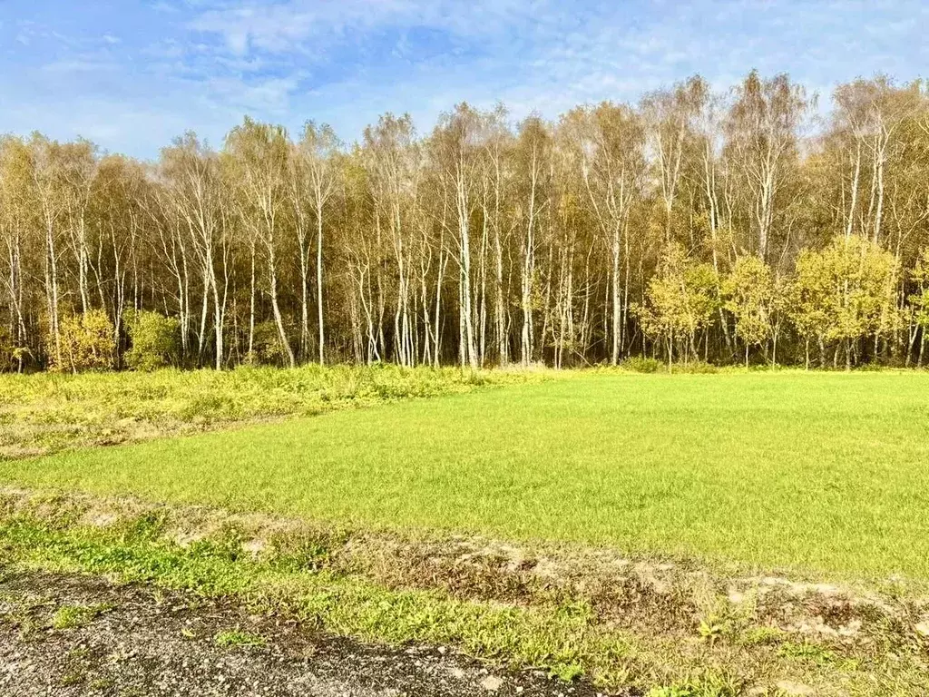 Участок в Московская область, Домодедово городской округ, д. Шишкино ... - Фото 1