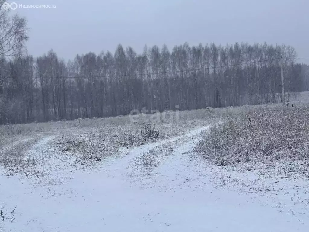 Участок в Нижегородская область, Балахнинский муниципальный округ, ... - Фото 1